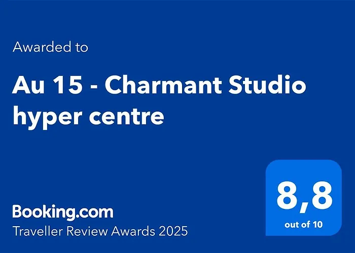Au 15 - Charmant Studio Hyper Centre